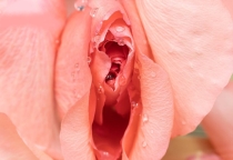 Các cách làm hồng cô bé tại nhà hiệu quả