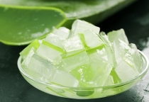 4 mẹo trị thâm mắt bằng lô hội (nha đam) tại nhà