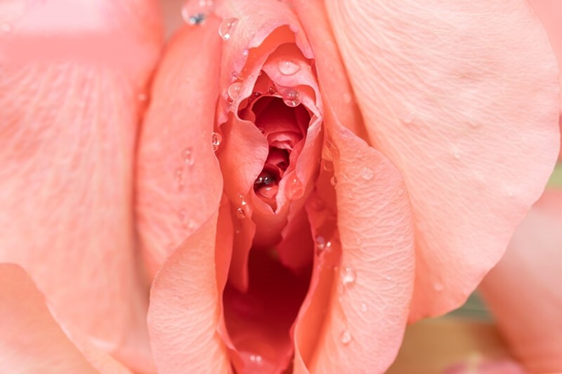 Các cách làm hồng cô bé tại nhà hiệu quả