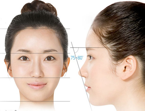 Thế nào là mũi chuẩn tỷ lệ vàng?